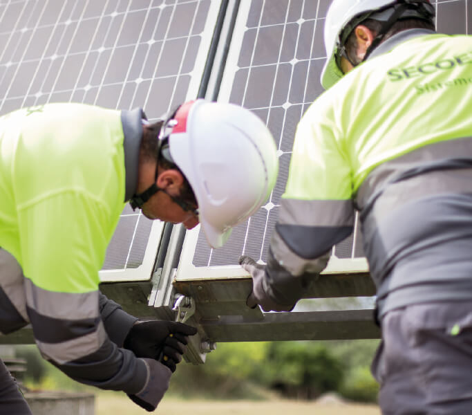 Sobre Nosotros - CECOEX